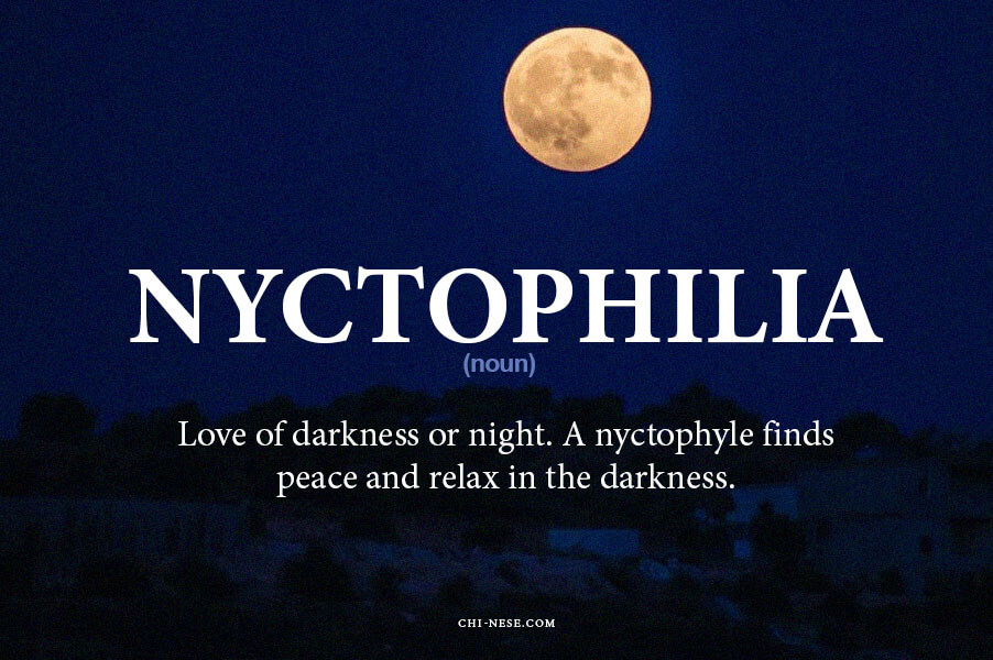 nyctophilia meaning