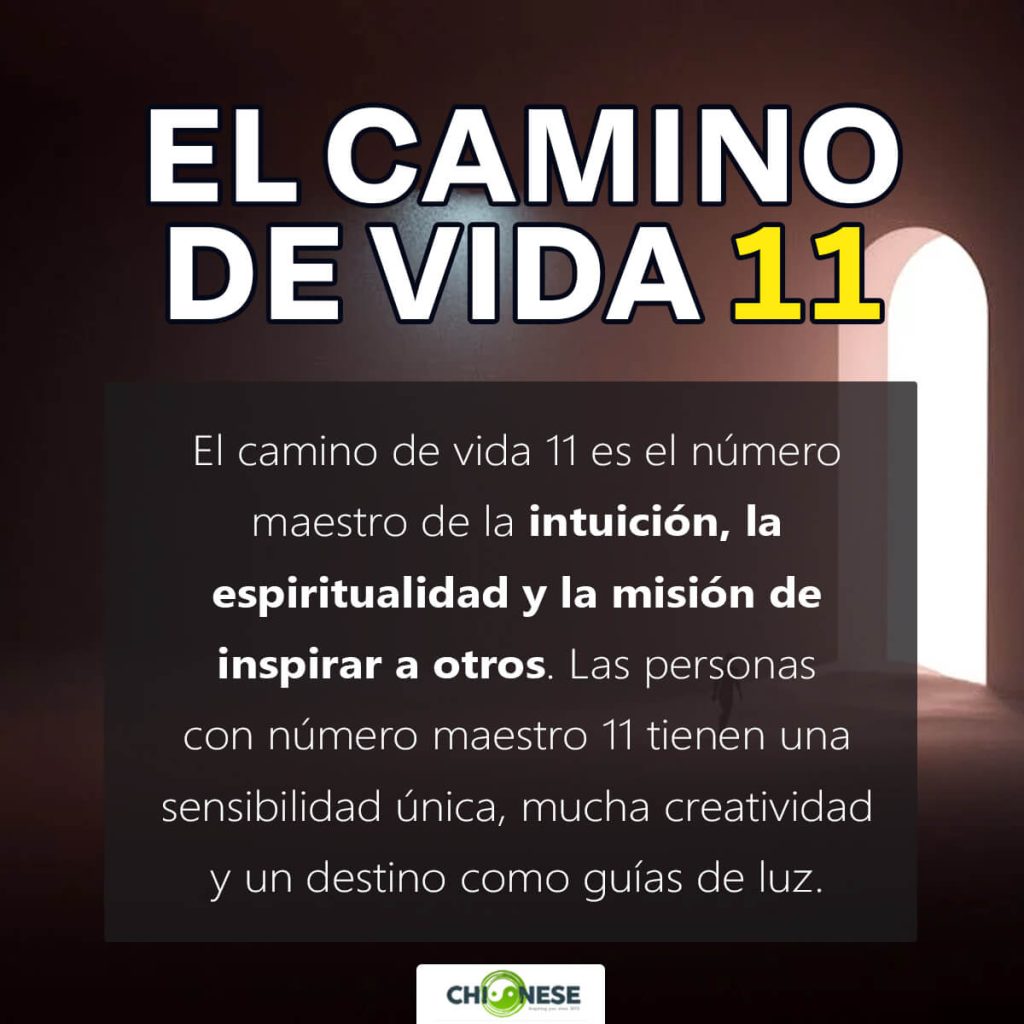 camino de vida 11