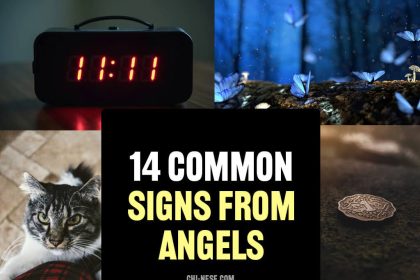 signs from angels