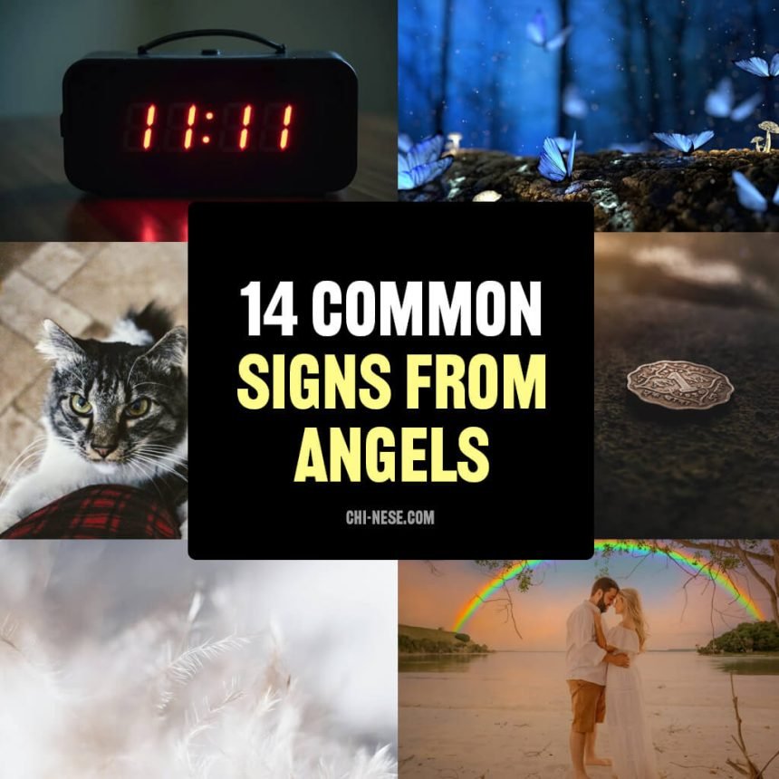 signs from angels