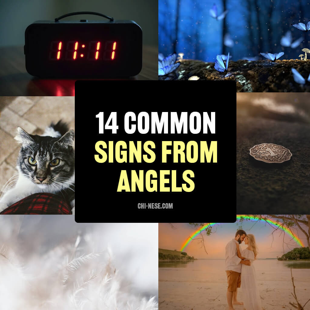 signs from angels