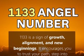 1133 angel number
