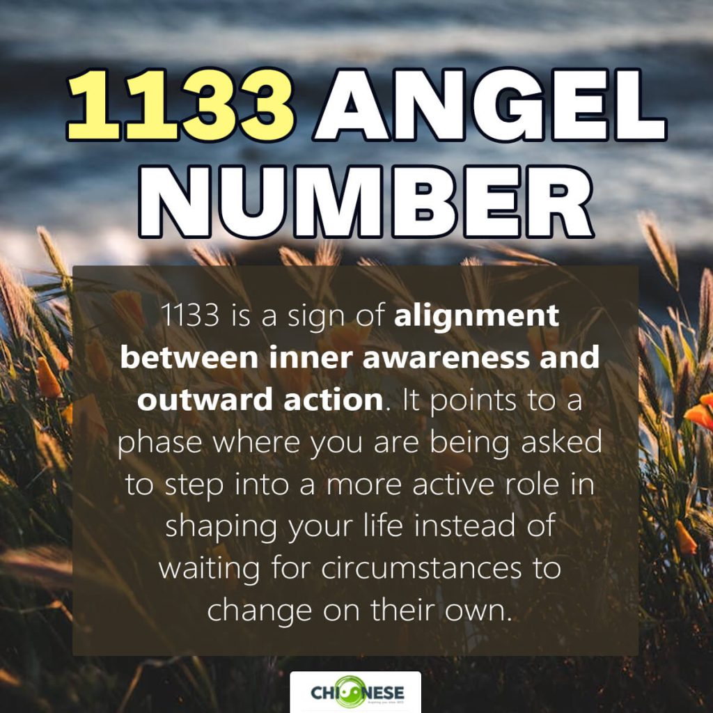 1133 angel number