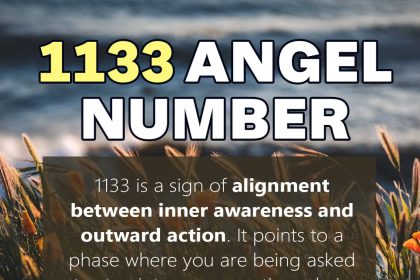 1133 angel number