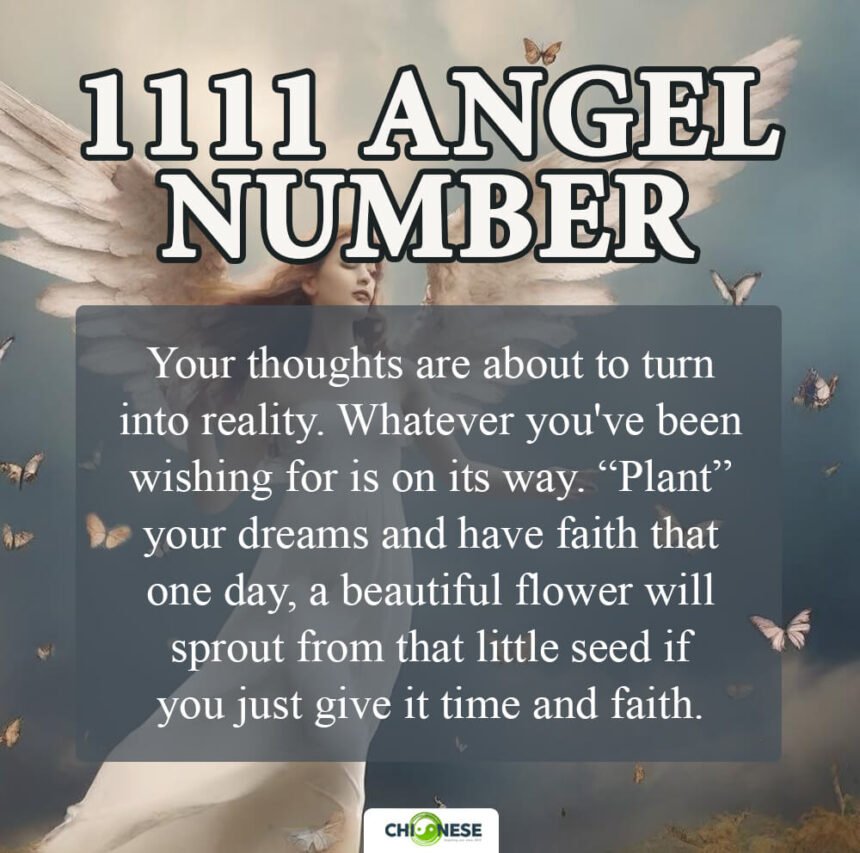 Angel Number 1111 Spiritual Meaning (Love, Twin Flame, Money)
