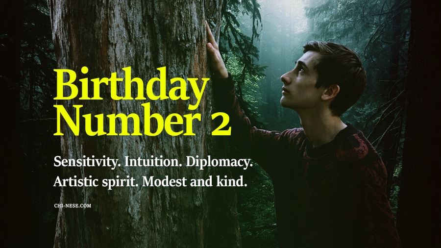 birthday number 2 numerology