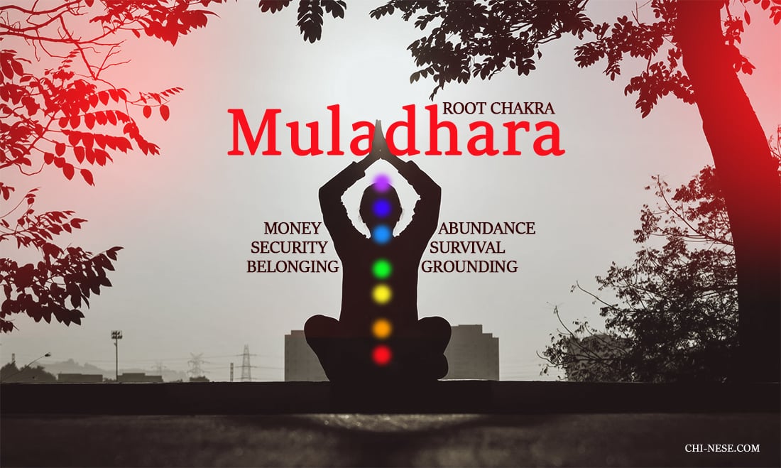 muladhara root chakra affirmations