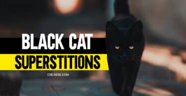 black cat superstitions