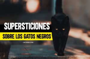 supersticiones sobre los gatos negros