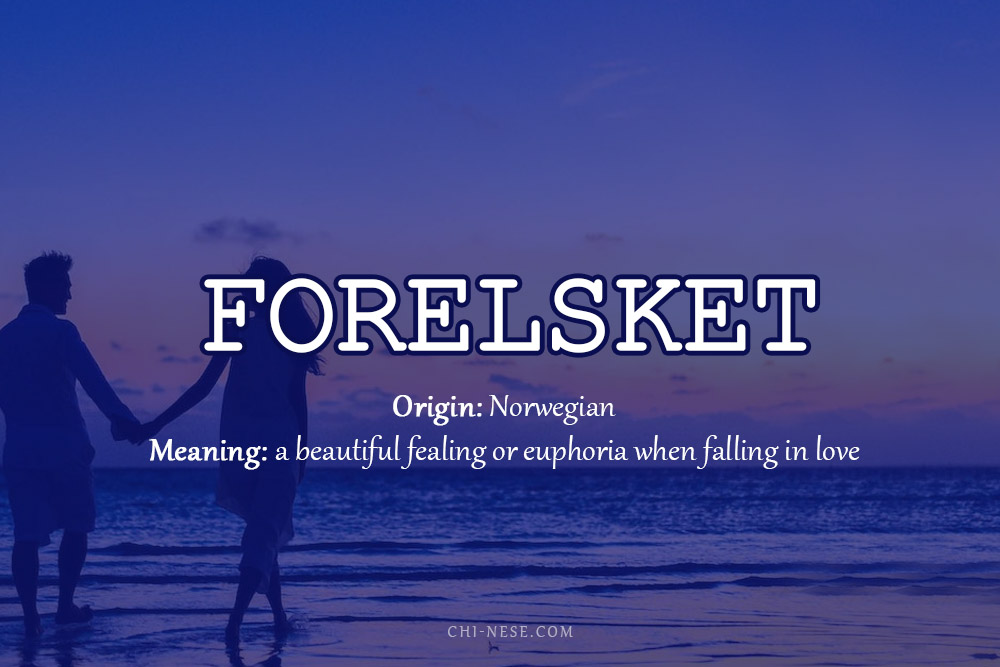 forelsket meaning