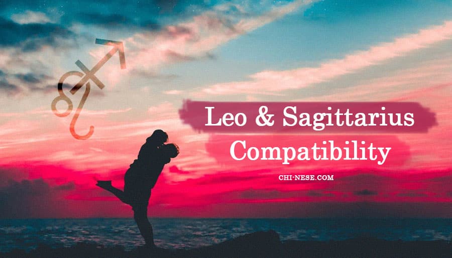 Leo And Sagittarius 