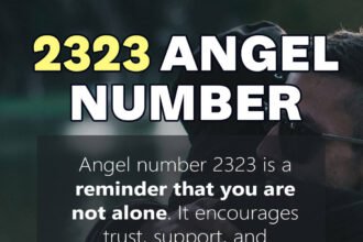 2323 angel number