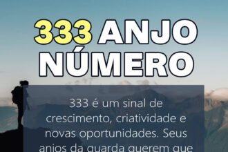 333 anjo número