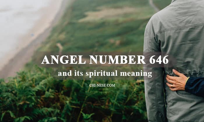天使の数646