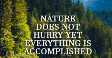 nature does not hurry yet everything is accomplished