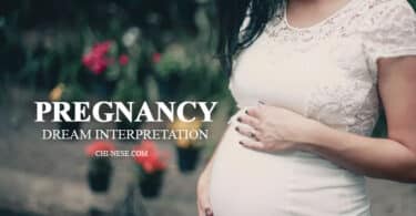 pregnancy dream meaning