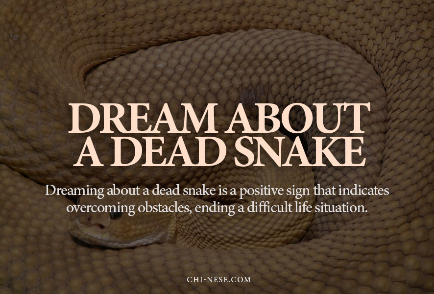 dream about a dead snake
