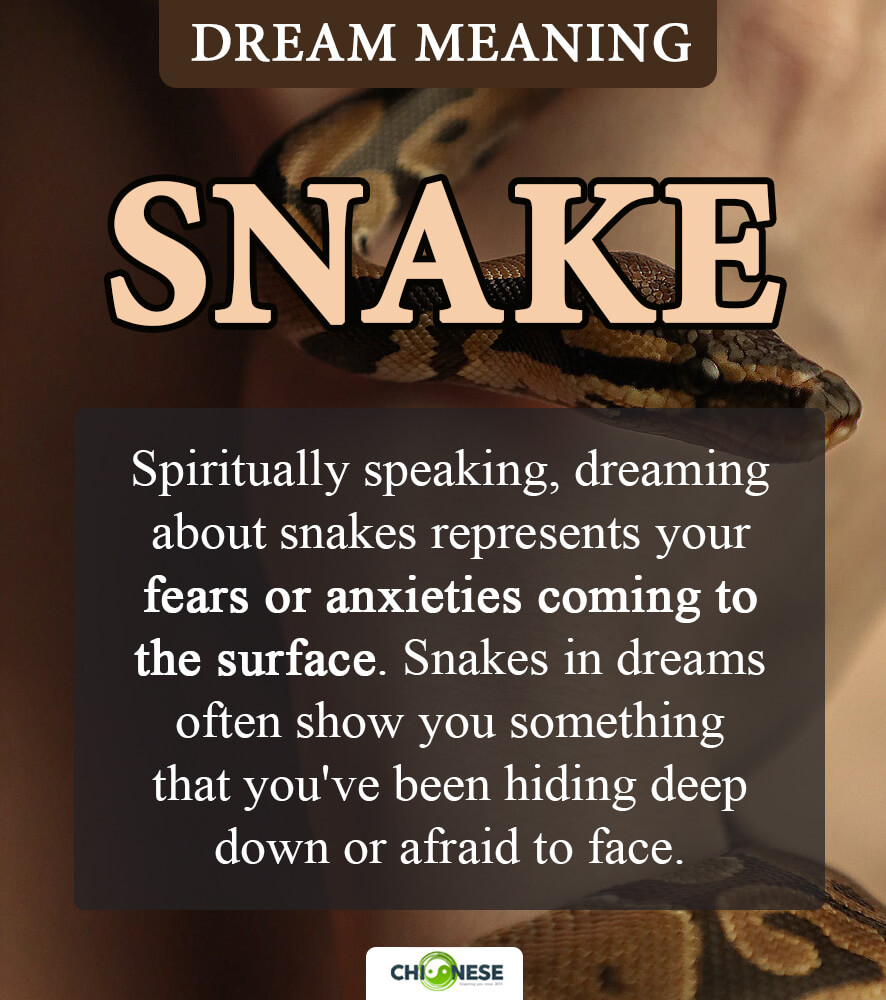 dream about snakes