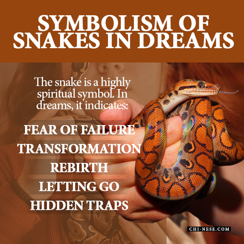 symbolism of snakes in dreams