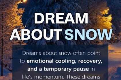 snow dream meaning