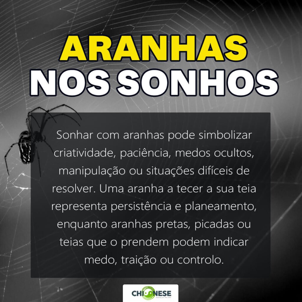 sonhar com aranhas