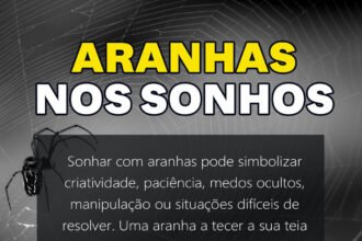 sonhar com aranhas