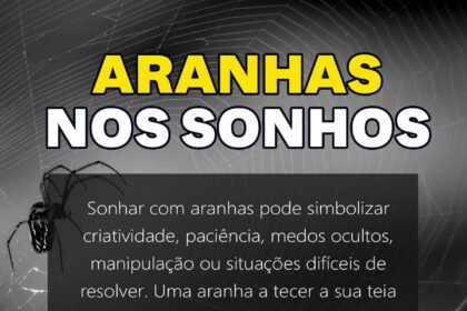 sonhar com aranhas