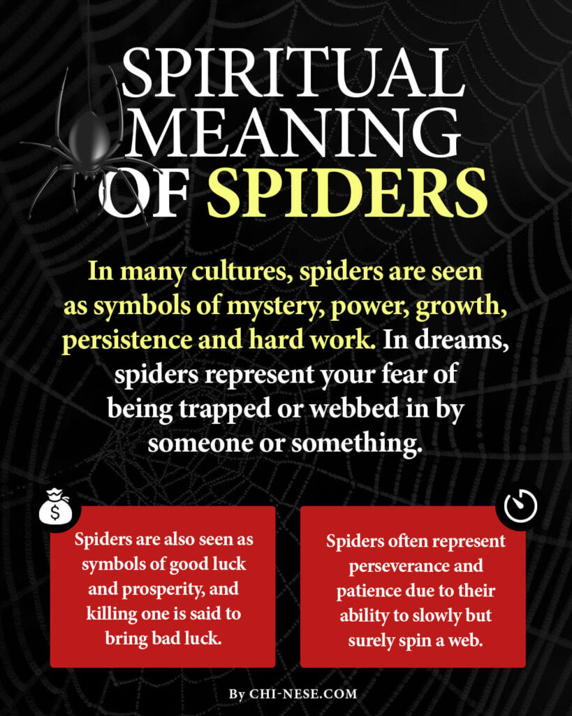 spiritual meaning of spiders