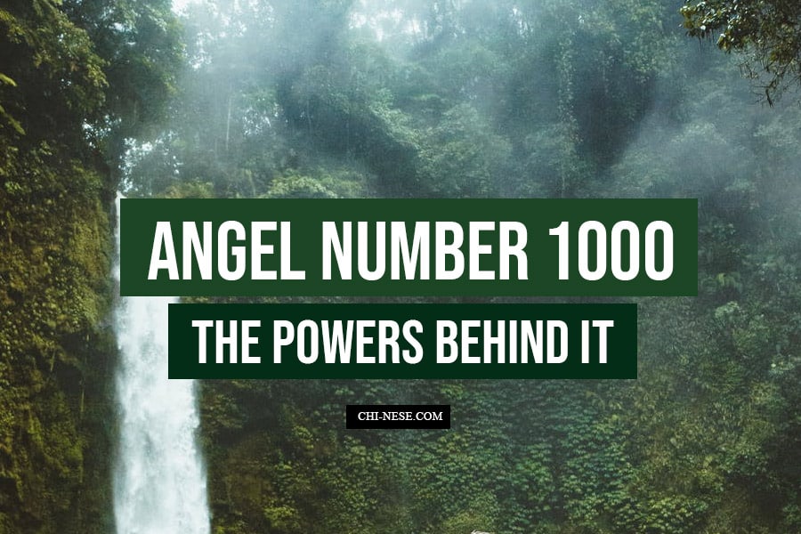 1000 Angel Number The Powers Behind It