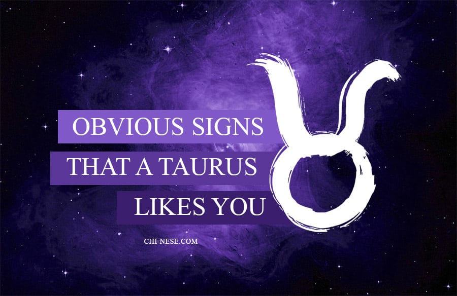 signs that a taurus likes you