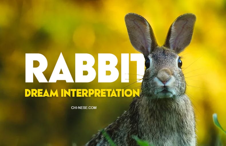 dream about rabbit