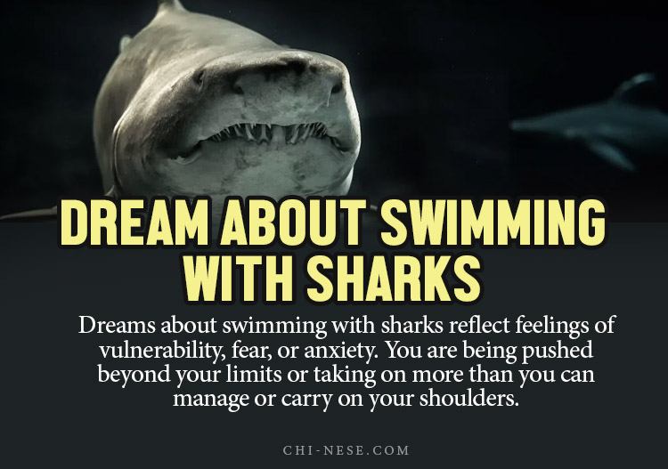 dream about swimming with sharks meaning