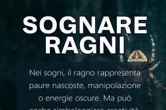 sognare ragni