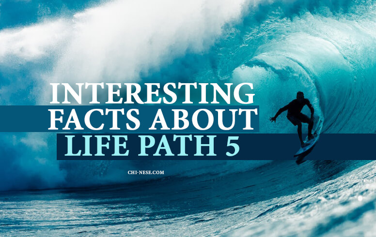 life path 5 interesting facts