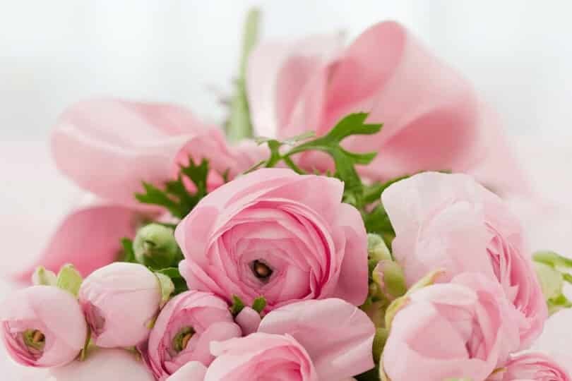 10 Popular Wedding Flowers That Define the Look of the Day