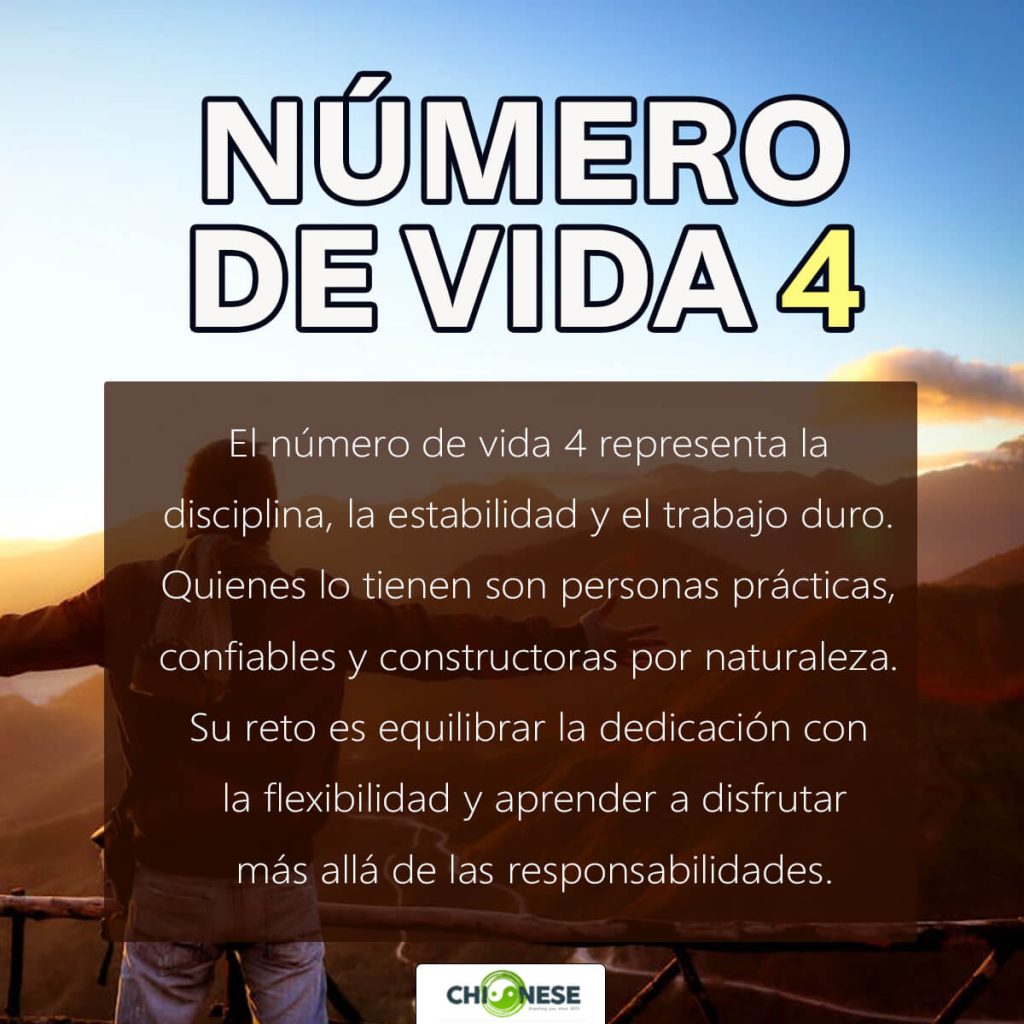 numero de vida 4