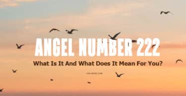 Angel Number 1213 And Its Spiritual Meaning Law Of Attraction Blog
