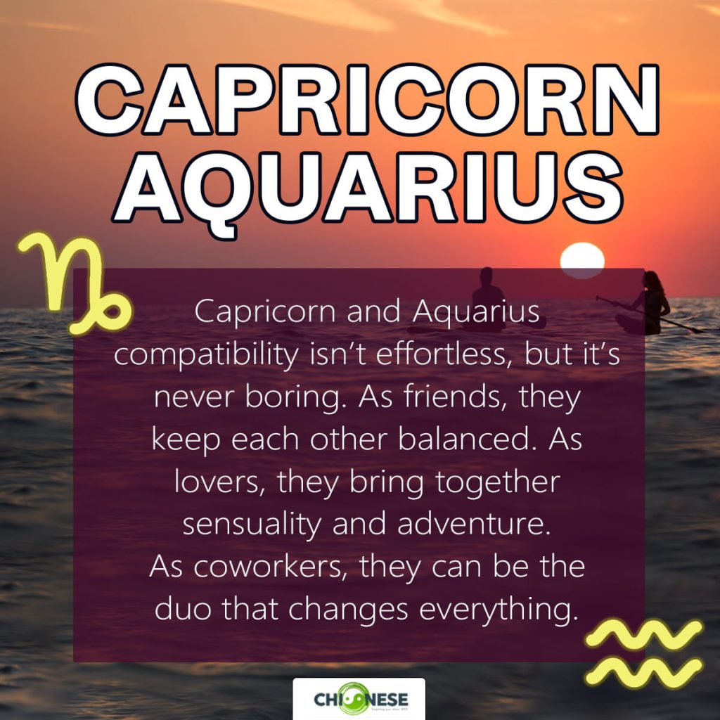 capricorn and aquarius compatibility