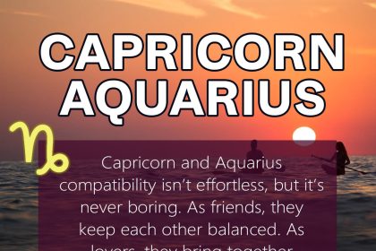 capricorn and aquarius compatibility