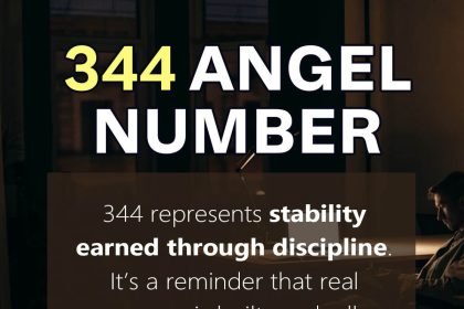 344 angel number