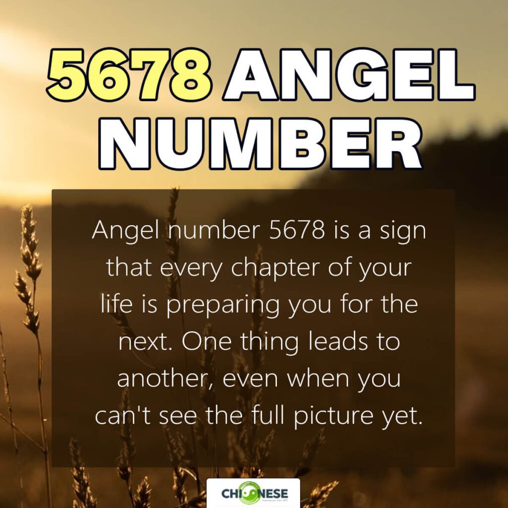 5678 angel number