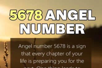 5678 angel number