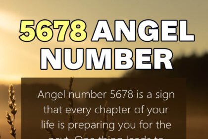 5678 angel number