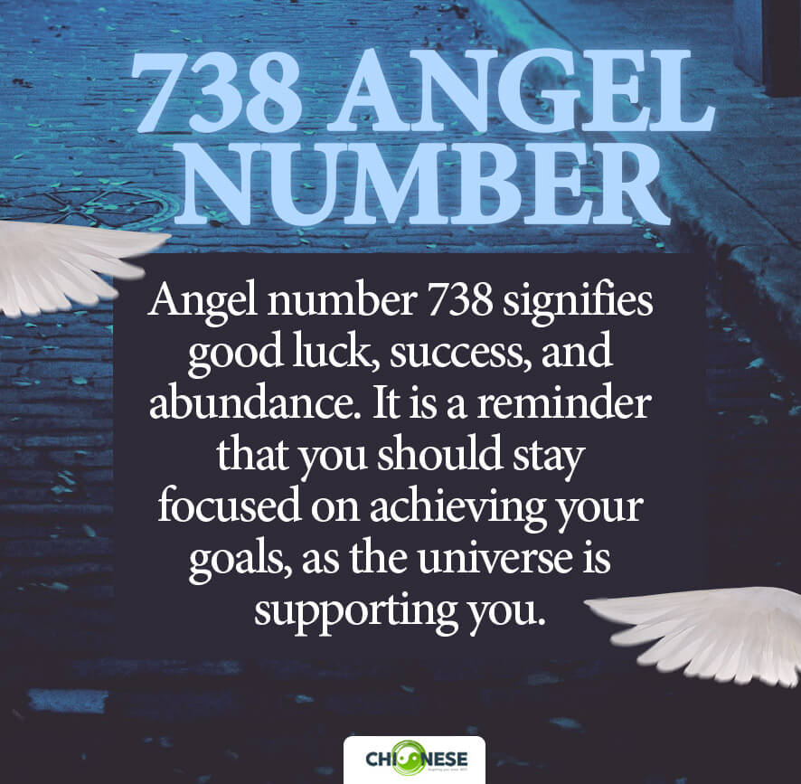 738 angel number