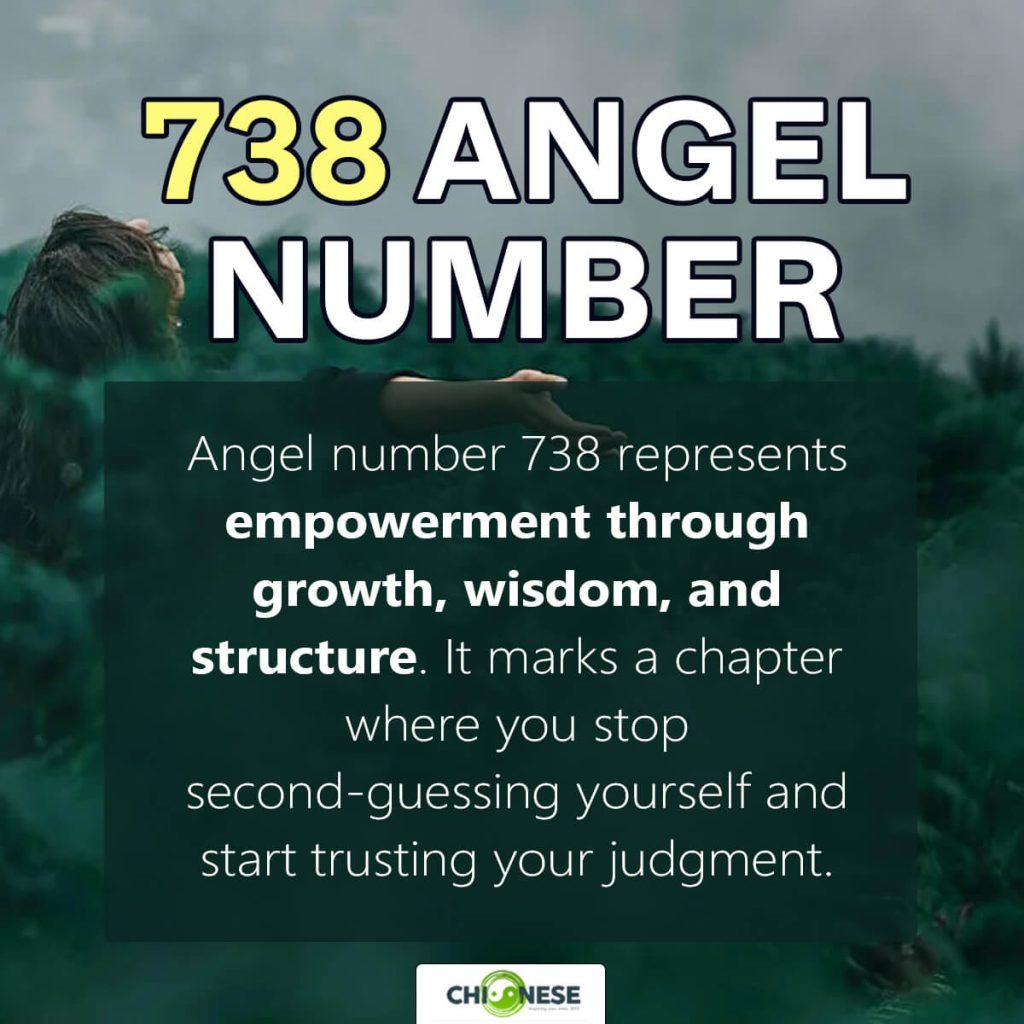 738 angel number
