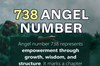 738 angel number