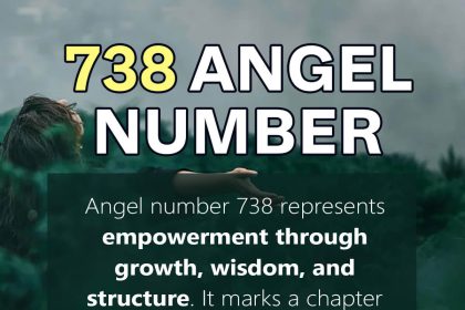 738 angel number
