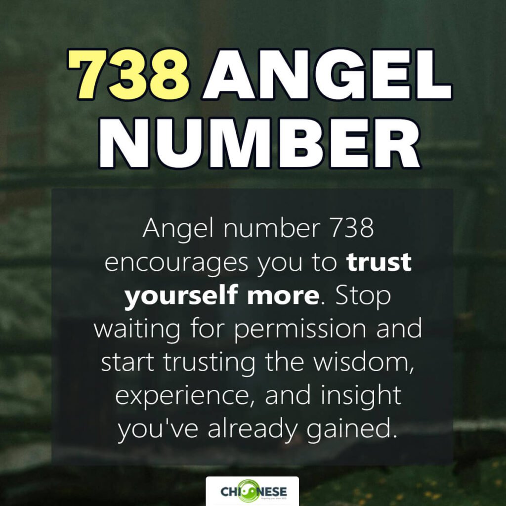 738 angel number