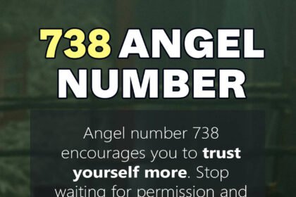 738 angel number