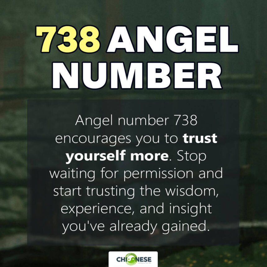 738 angel number